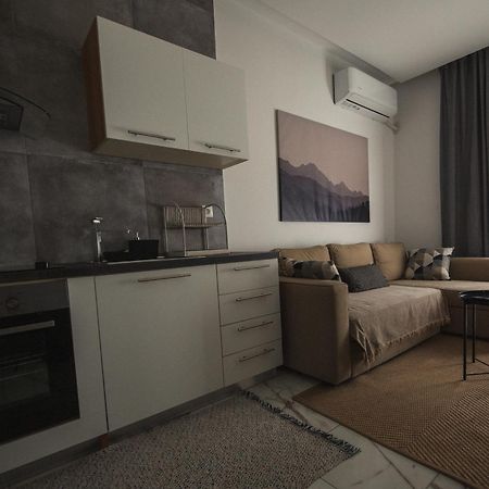 Luxury Apartment In The Center Of Ioannina City Luaran gambar